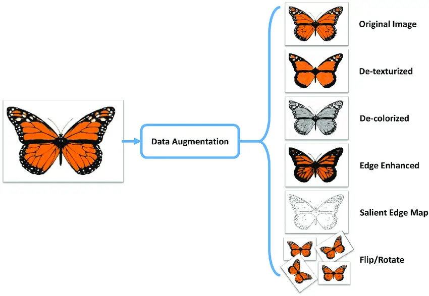 Data augmentation illustrated