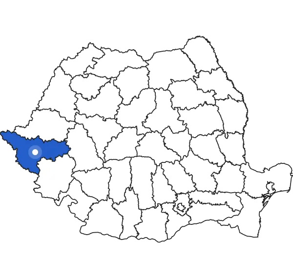 Timișoara