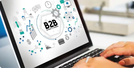 B2B eCommerce Solutions-image